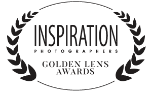 Awards moodvideomaking modestino iavarone videographer inspiration phodographers